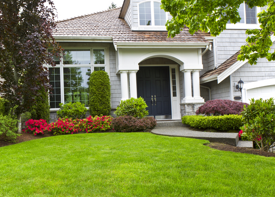 Spring Landscaping Spring Landscaping
